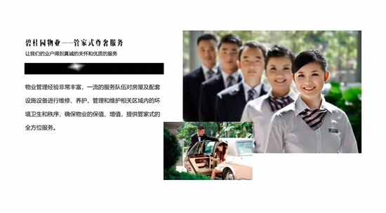 碧桂園星語海開發(fā)商簡介