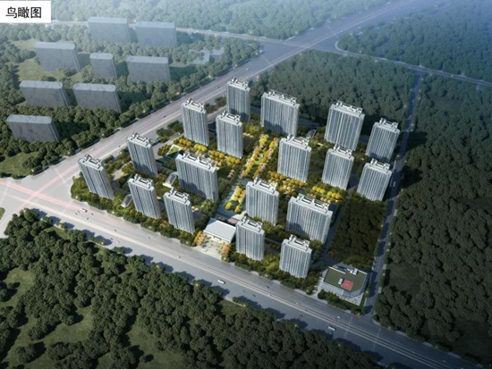 南京德信星宸位置怎么樣？德信星宸周邊配套和規(guī)劃