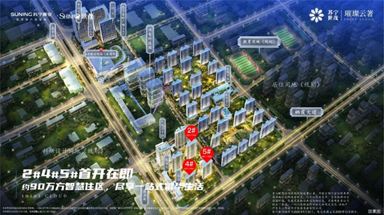 璀璨云著