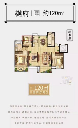 洋房120㎡戶型圖